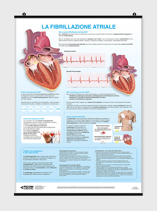 Sistema linfatico. Poster 50cm x 70cm di Lucia Manzoli, Stefano