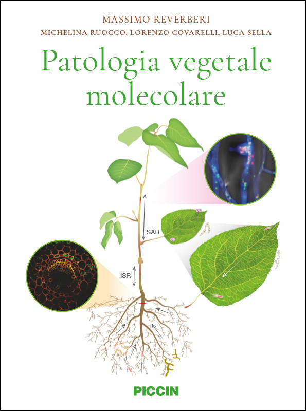 Patologia Vegetale Molecolare 6608