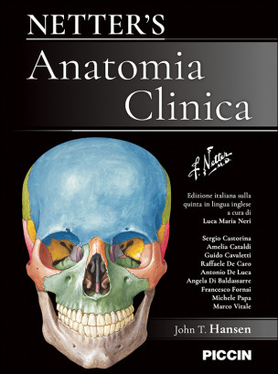 Netter’s Anatomia Clinica