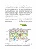 Fisiologia e sviluppo vegetale