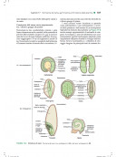 Fisiologia e sviluppo vegetale