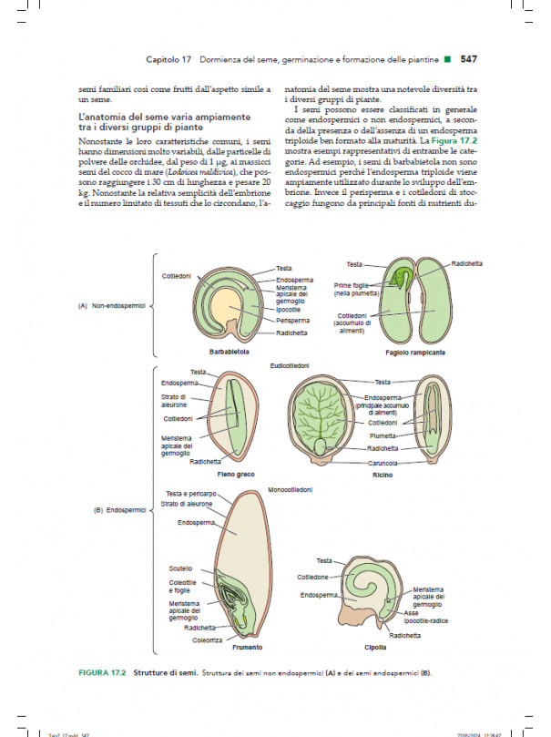 Fisiologia e sviluppo vegetale