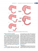 Curriculum di base. Gestione delle stomie