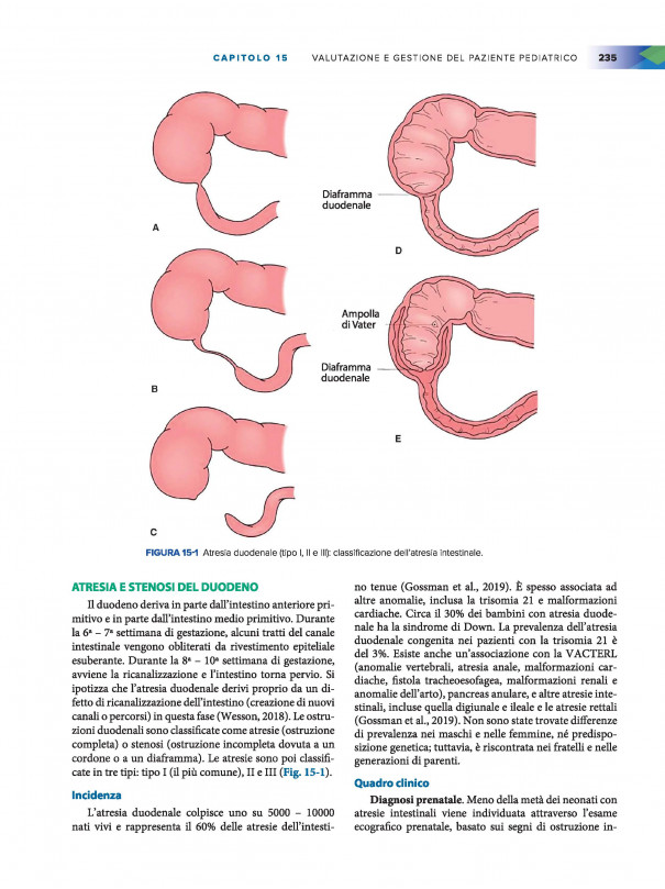 Curriculum di base. Gestione delle stomie