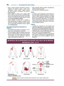 GOODMAN e SNYDER’S DIAGNOSI DIFFERENZIALE PER FISIOTERAPISTI