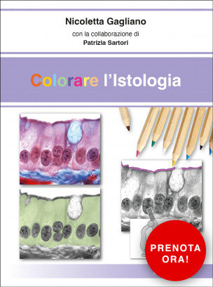 Colorare l'Istologia