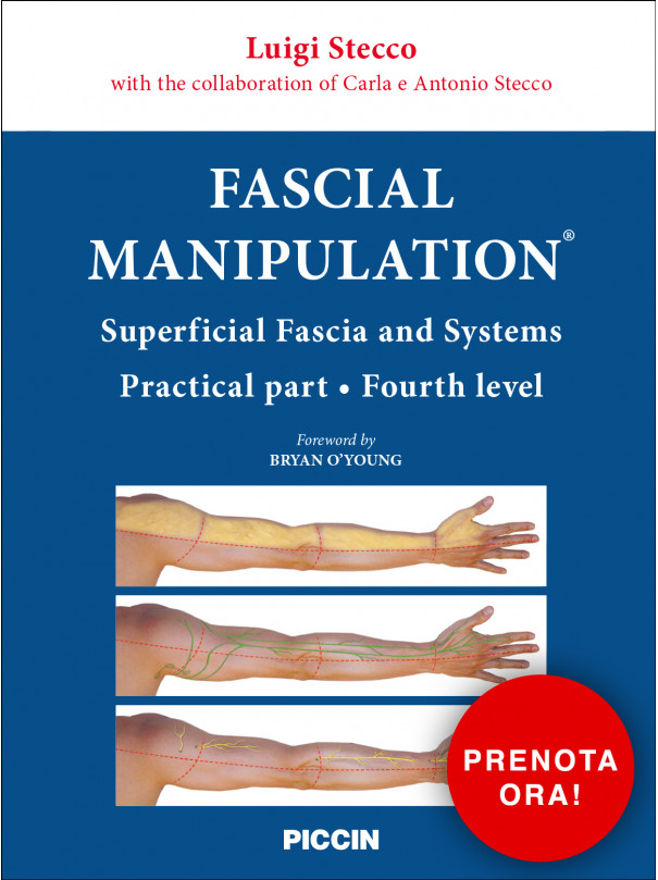 STECCO FASCIAL MANIPULATION® Superficial fascia and systems - Practical part - Fourth level