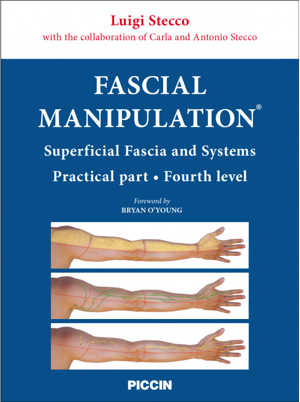 STECCO FASCIAL MANIPULATION® Superficial fascia and systems - Practical part - Fourth level