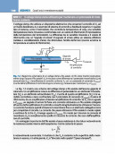 Fisiologia cellulare e neurofisiologia