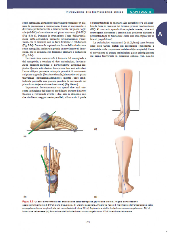 Brukner & Khan’s Medicina clinica dello sport. Infortuni