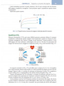 Il libro dell’ECMO