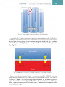 Il libro dell’ECMO