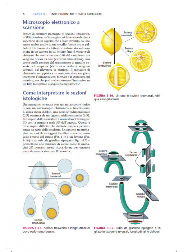 Gartner & Hiatt’s Atlante e Testo di Istologia