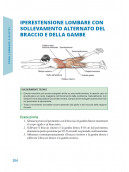 Corsa e Anatomia umana