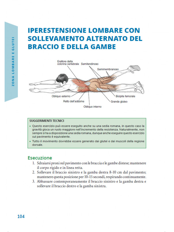 Corsa e Anatomia umana