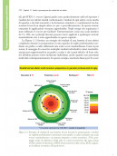 Preparazione fisica e atletica avanzata. Un approccio evidence-based