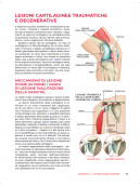 REHAB SCIENCE COME SUPERARE IL DOLORE E RECUPERARE DALLE LESIONI